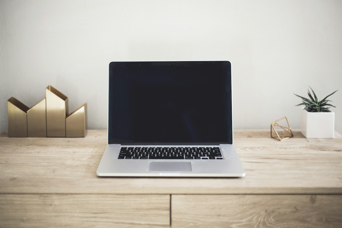 Laptop on a wooden desk beside a plant